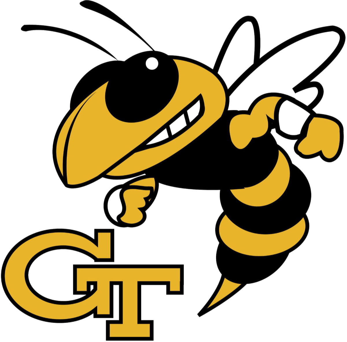 Georgia Institute of Technology